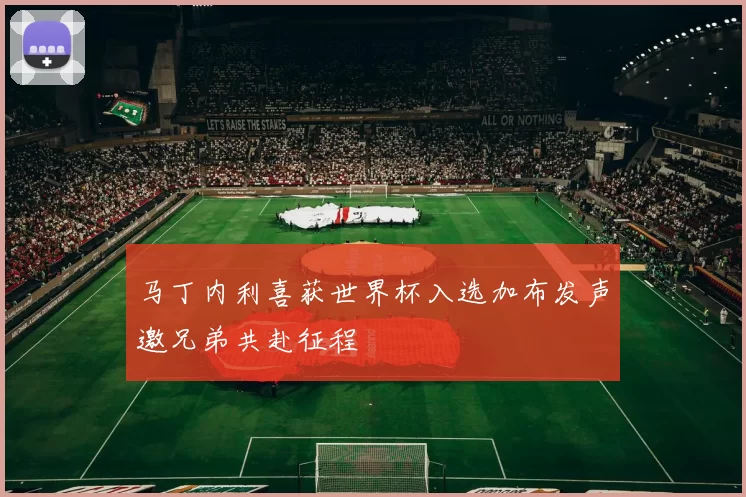 马丁内利喜获世界杯入选加布发声邀兄弟共赴征程